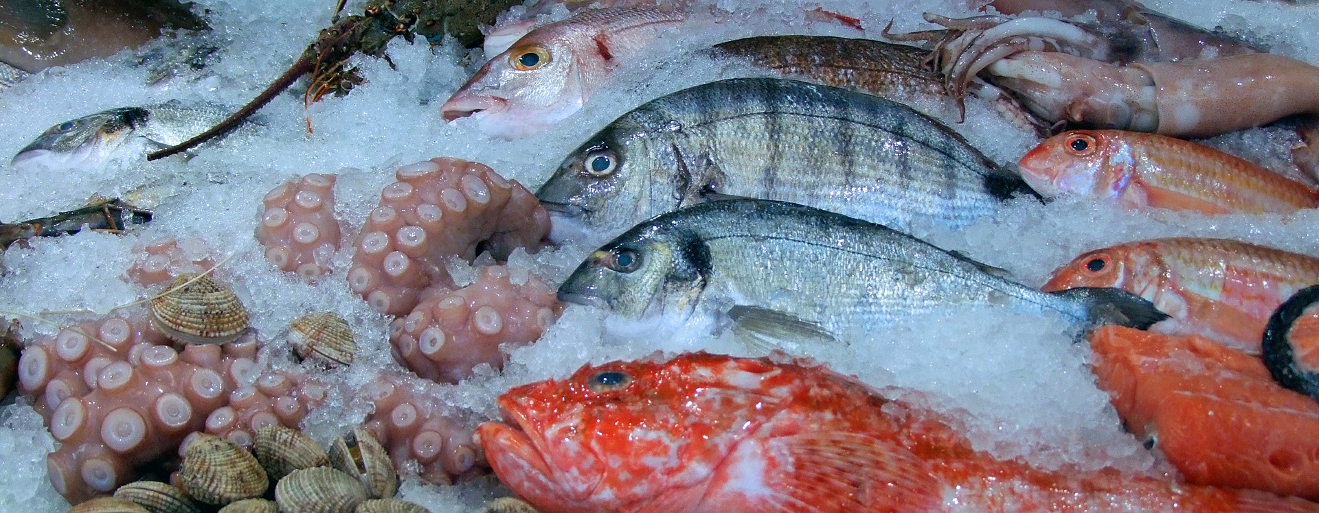 Pescado Fresco